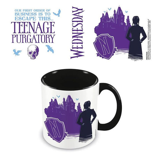 Wednesday: Mug: Teenage Purgatory - Inspire Newquay