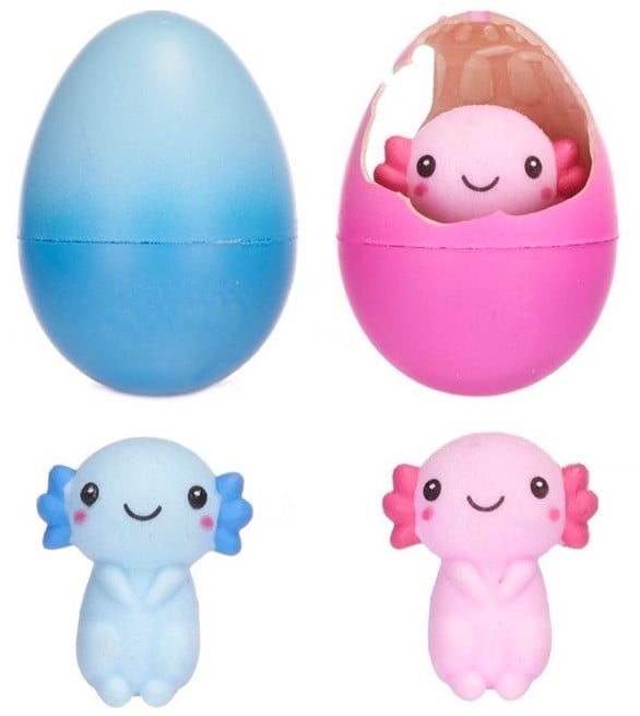 Axl the Hatching Axolotl Eggs (1 RANDOM Supplied) - Inspire Newquay