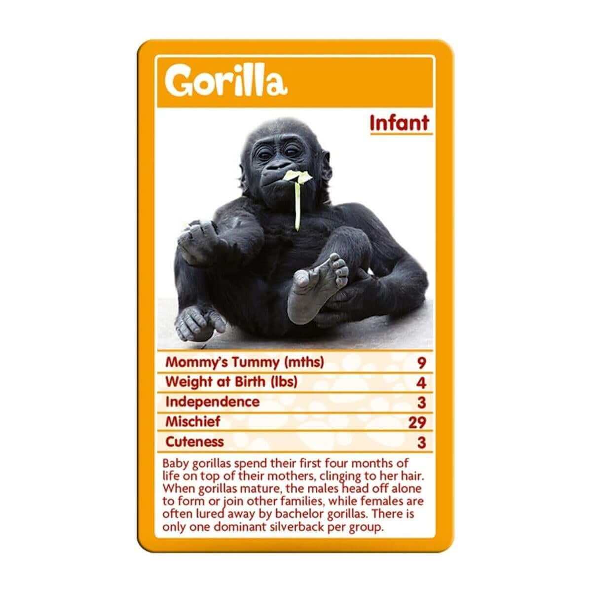 Baby Animals Top Trumps Card Game - Inspire Newquay