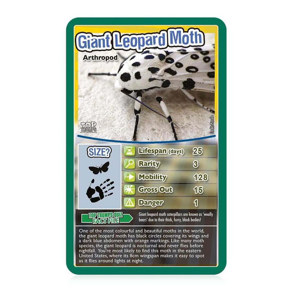 Bugs Top Trumps Card Game - Inspire Newquay
