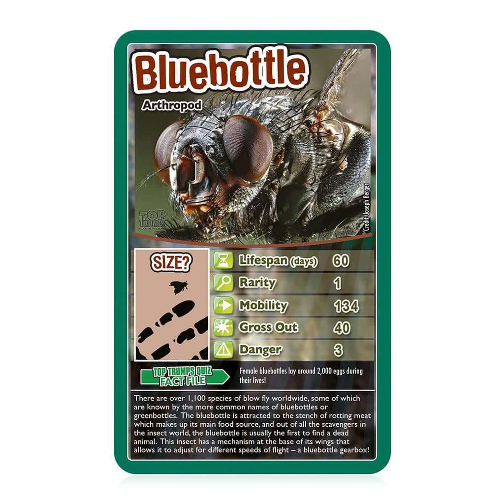 Bugs Top Trumps Card Game - Inspire Newquay