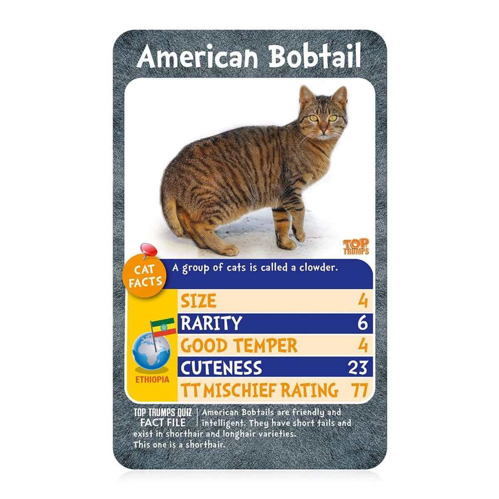 Cats Top Trumps Card Game - Inspire Newquay