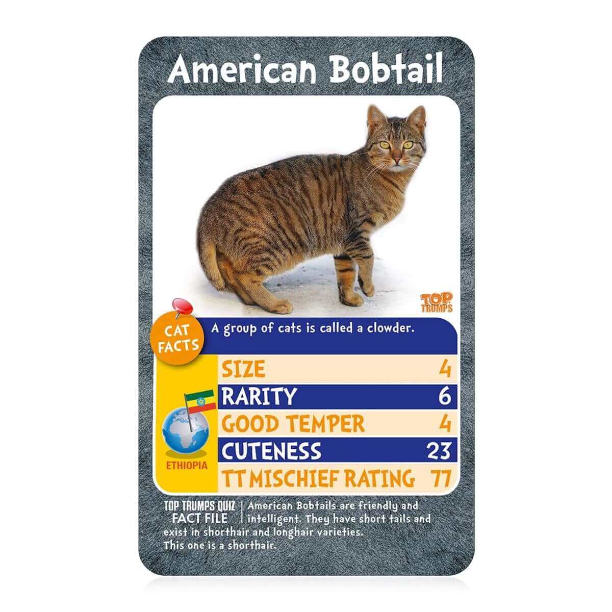 Cats Top Trumps Card Game - Inspire Newquay