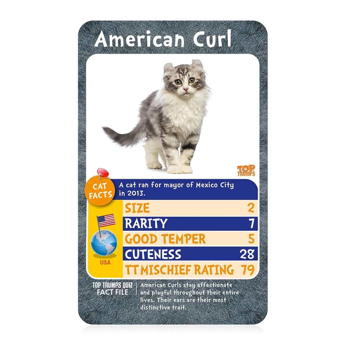 Cats Top Trumps Card Game - Inspire Newquay