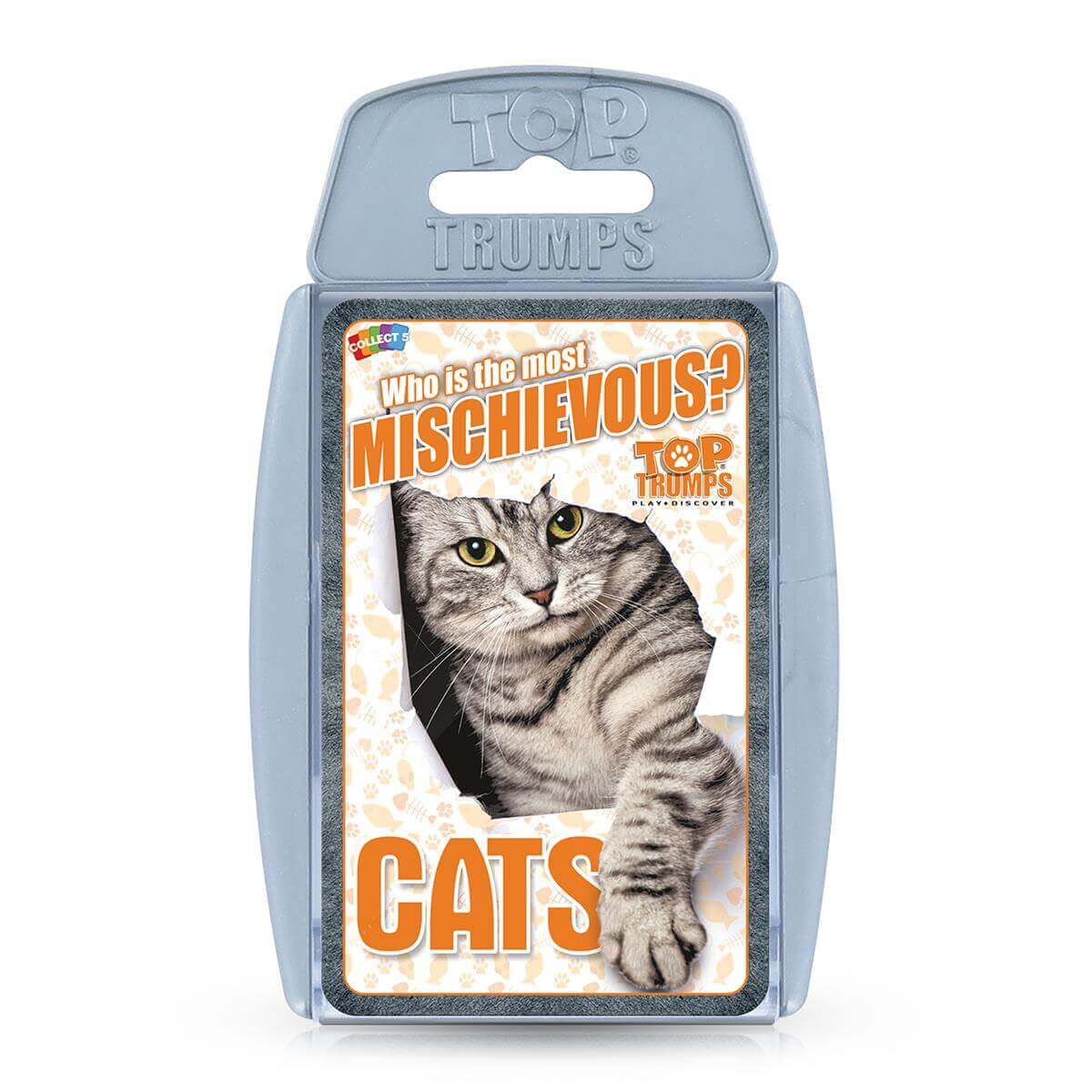 Cats Top Trumps Card Game - Inspire Newquay