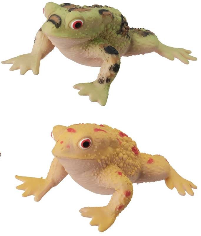 Freaky Frogs - 15cm Extra Large (1 RANDOM Supplied) - Inspire Newquay
