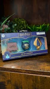 HARRY POTTER – Group 2 – Set of 3 Magnets - Inspire Newquay
