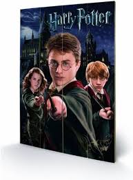 Harry Potter (Harry Ron Hermione) 40x59cm MDF Wooden Wall Art Print - Inspire Newquay