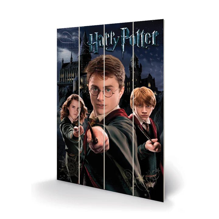 Harry Potter (Harry Ron Hermione) 40x59cm MDF Wooden Wall Art Print - Inspire Newquay