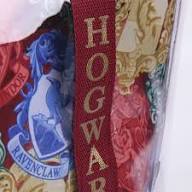 HARRY POTTER - Transparent Handbag - Inspire Newquay