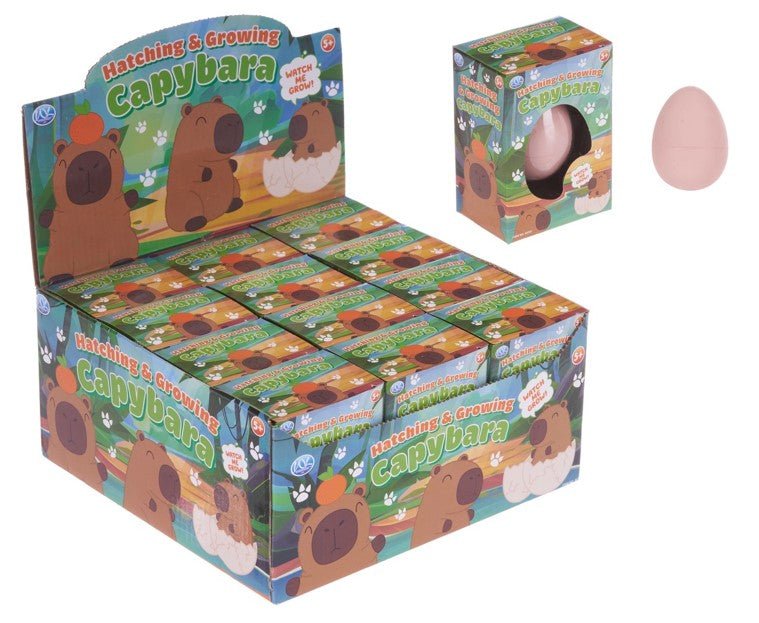 Hatching Growing Capybara Egg (1 RANDOM Supplied) - Inspire Newquay
