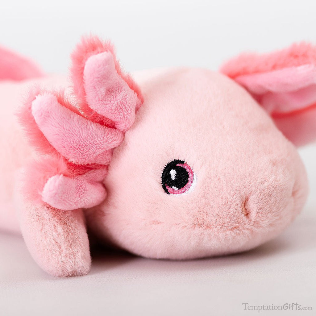 Keel Toys Keeleco Axolotl 25cm Soft Toy - Inspire Newquay