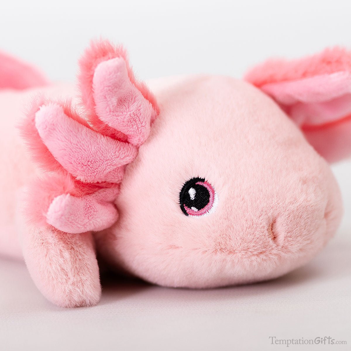 Keel Toys Keeleco Axolotl 25cm Soft Toy - Inspire Newquay