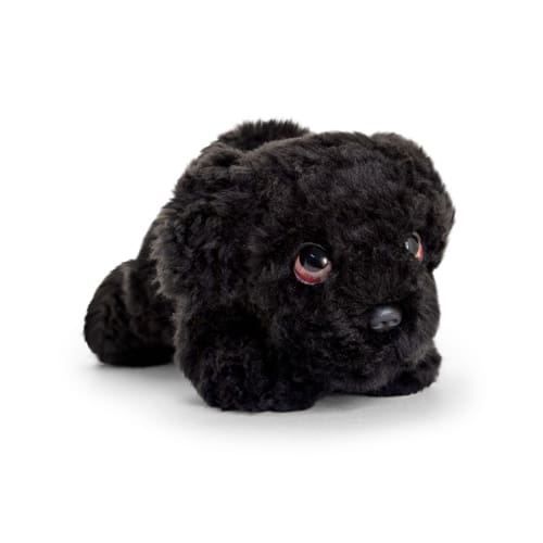 Keeltoys 25cm Signature Cuddle Puppy Black Cockapoo - Inspire Newquay