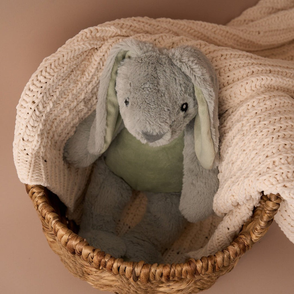 Max & Boo Soft Plush Bunny with Floppy Ears 40cm - Ivy - Inspire Newquay