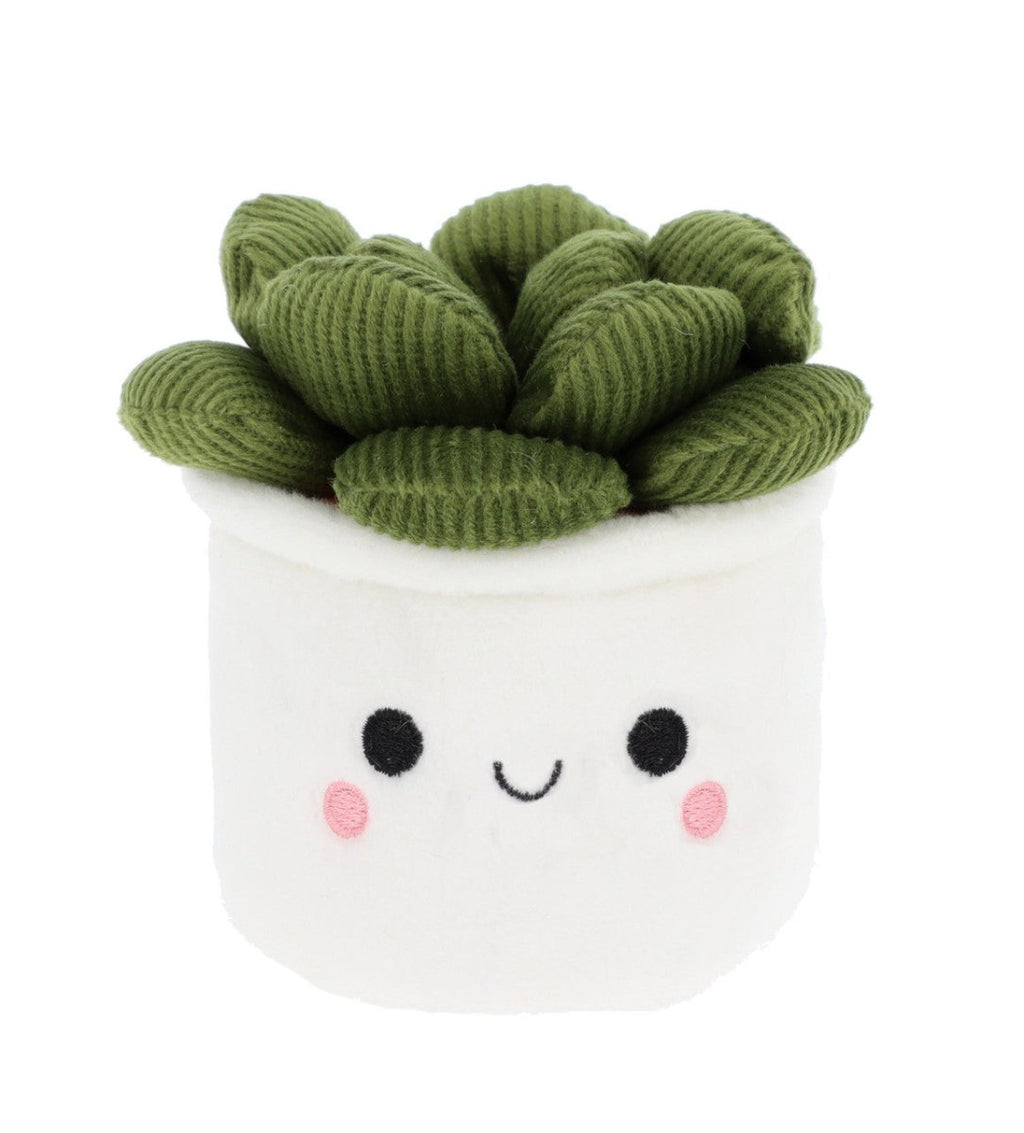 Plant Bobballs 12cm (Assorted) (1 RANDOM Supplied) - Inspire Newquay