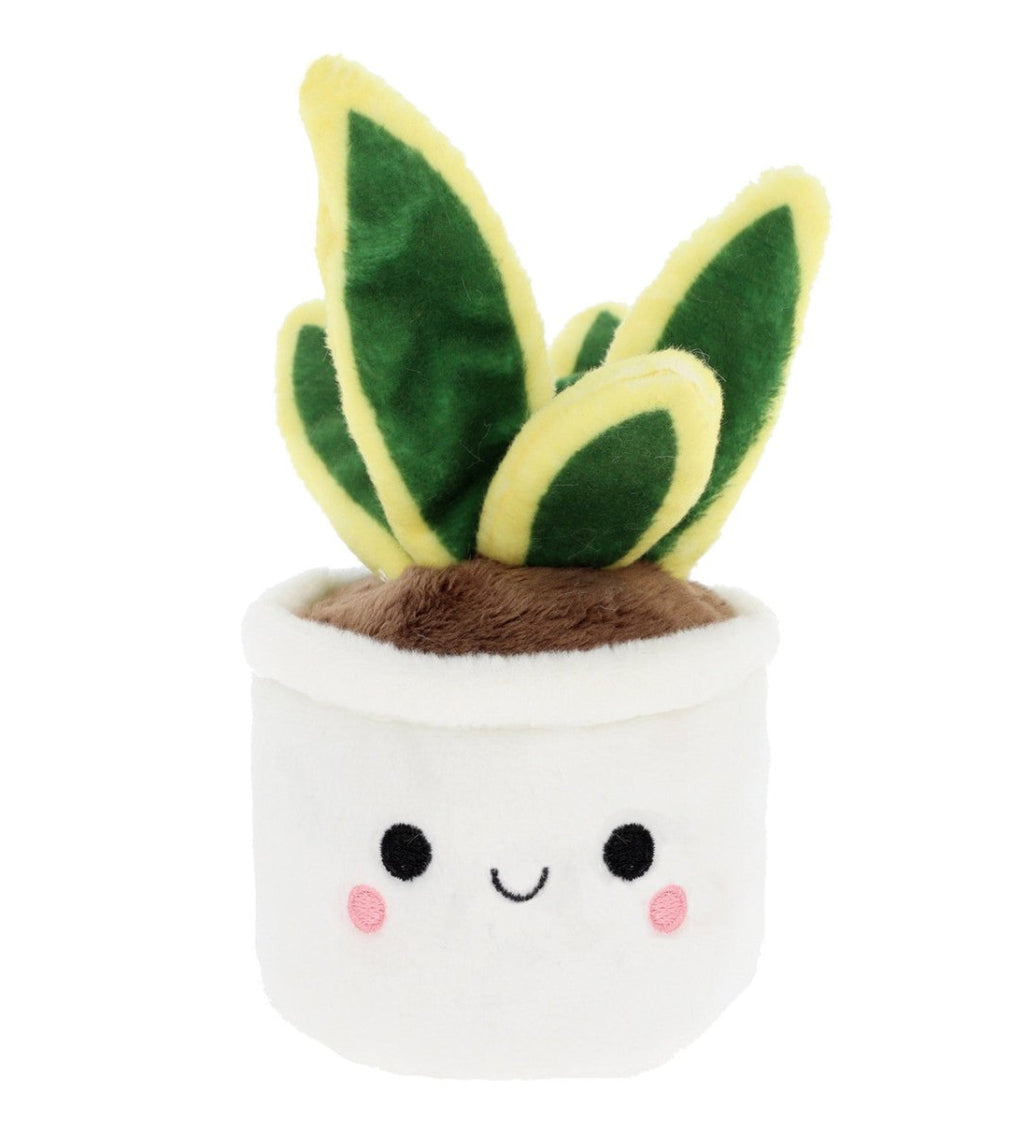 Plant Bobballs 12cm (Assorted) (1 RANDOM Supplied) - Inspire Newquay