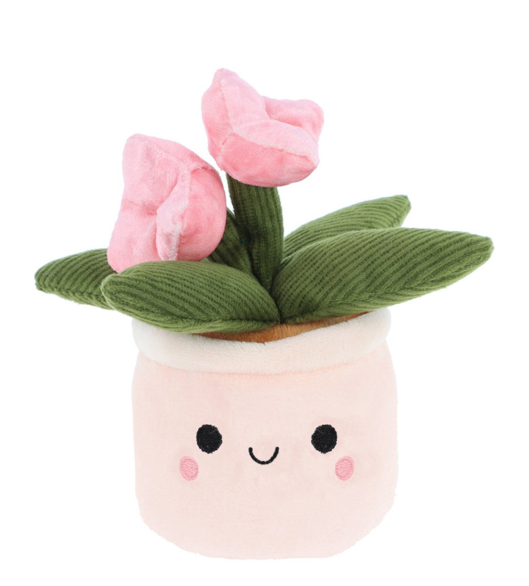 Plant Bobballs 12cm (Assorted) (1 RANDOM Supplied) - Inspire Newquay