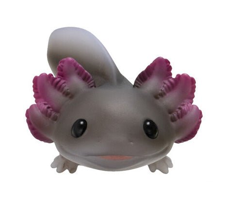 PRE ORDER Tenori Friends 11 Reptiles & Amphibians (1 Supplied) - Inspire Newquay