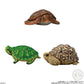 PRE ORDER Tenori Friends 11 Reptiles & Amphibians (1 Supplied) - Inspire Newquay