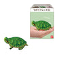 PRE ORDER Tenori Friends 11 Reptiles & Amphibians (1 Supplied) - Inspire Newquay