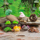 PRE ORDER Tenori Friends 11 Reptiles & Amphibians (1 Supplied) - Inspire Newquay