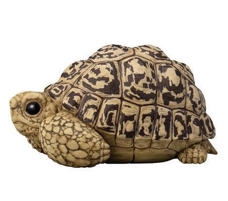 PRE ORDER Tenori Friends 11 Reptiles & Amphibians (1 Supplied) - Inspire Newquay