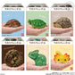 PRE ORDER Tenori Friends 11 Reptiles & Amphibians (1 Supplied) - Inspire Newquay