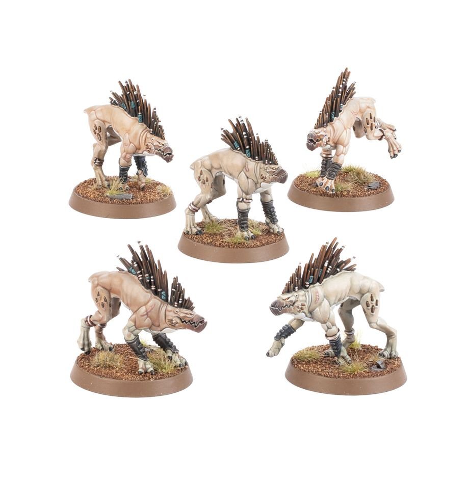 PRE ORDER Warhammer 40K T'Au Empire: Kroot Hounds - Inspire Newquay