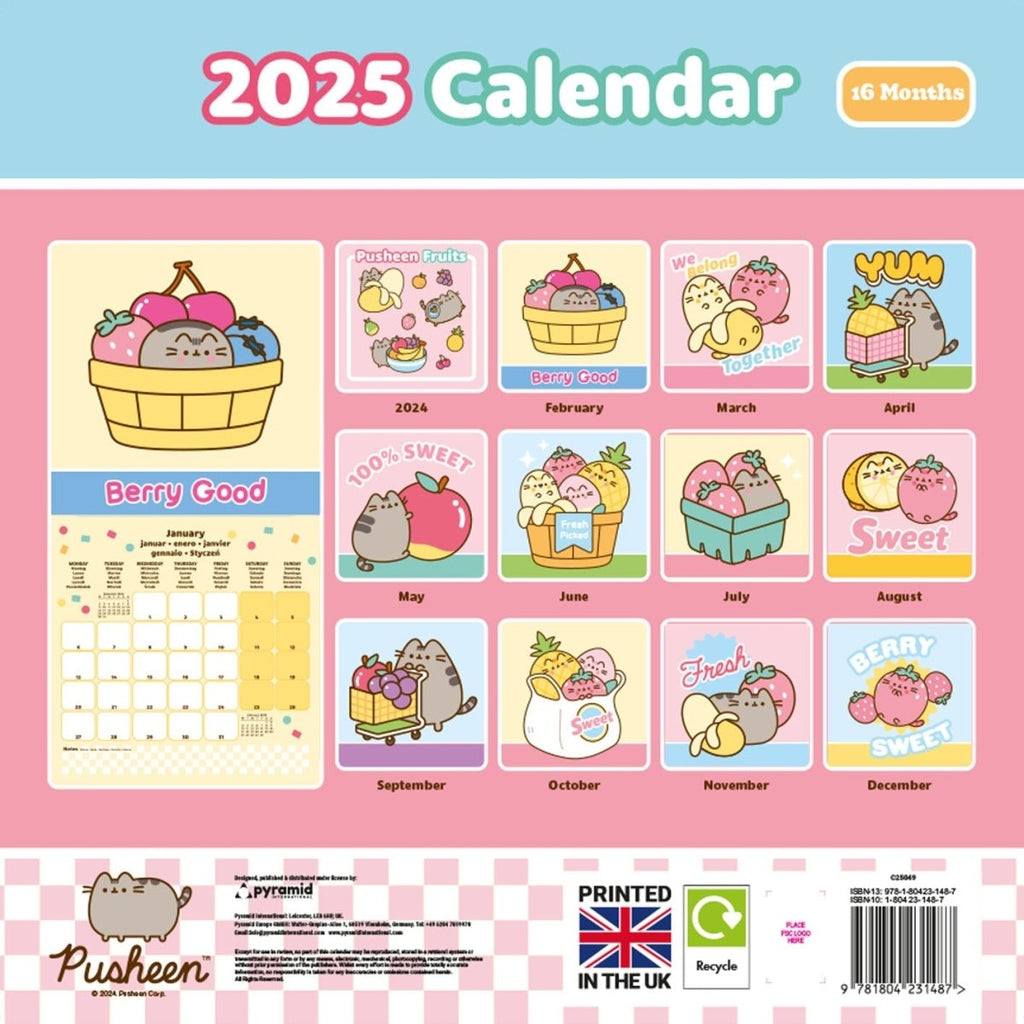 Pusheen 2025 30X30 Calendar - Inspire Newquay
