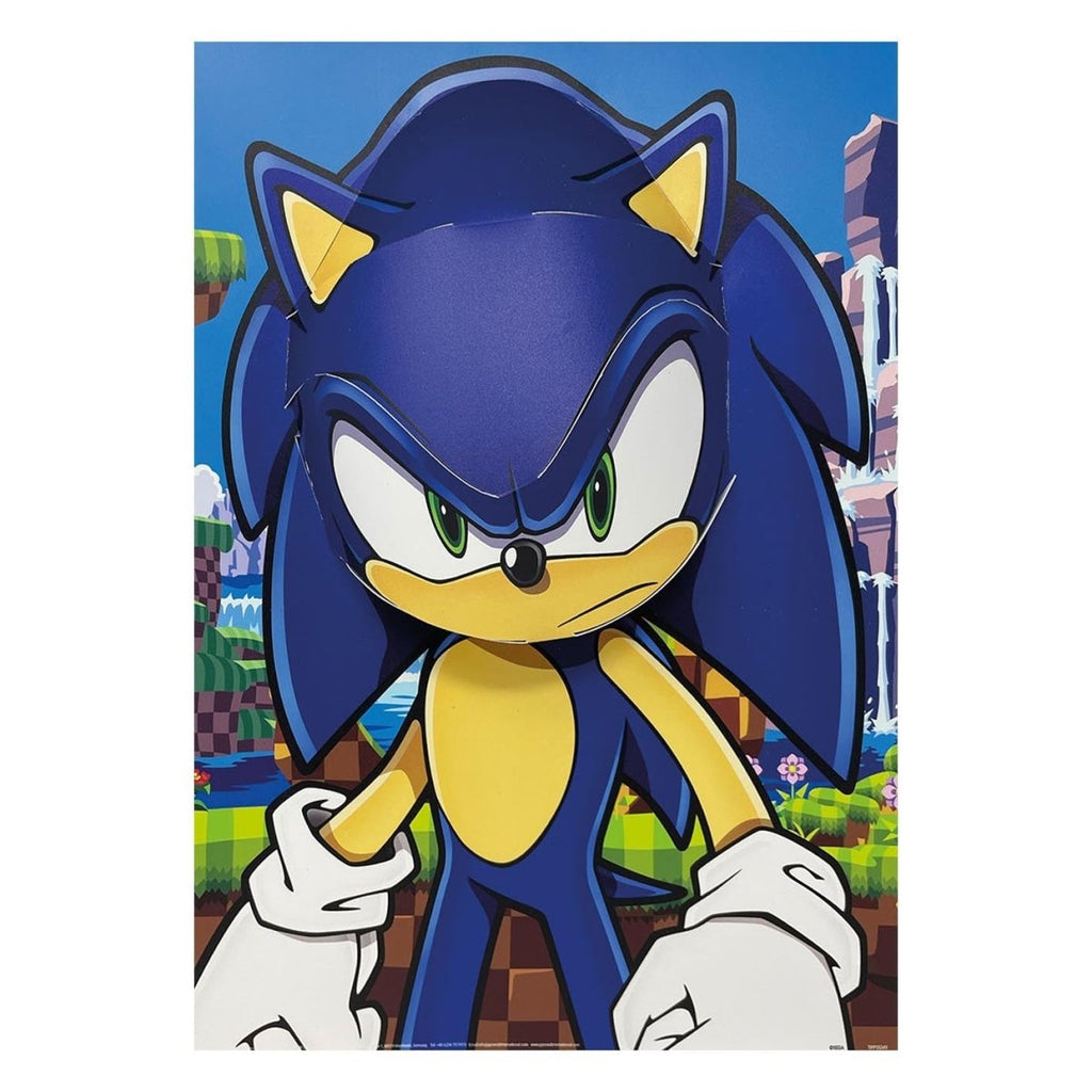 Sonic The Hedgehog (Sonic) 3D Poster (Popheads) - Inspire Newquay