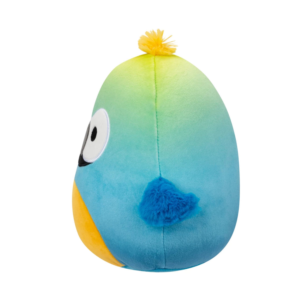 7.5" Baptise the Blue Macaw Squishmallows Plush - Inspire Newquay