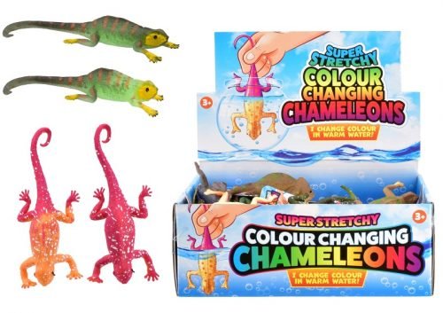 Colour Changing Chameleon Lizards - Inspire Newquay