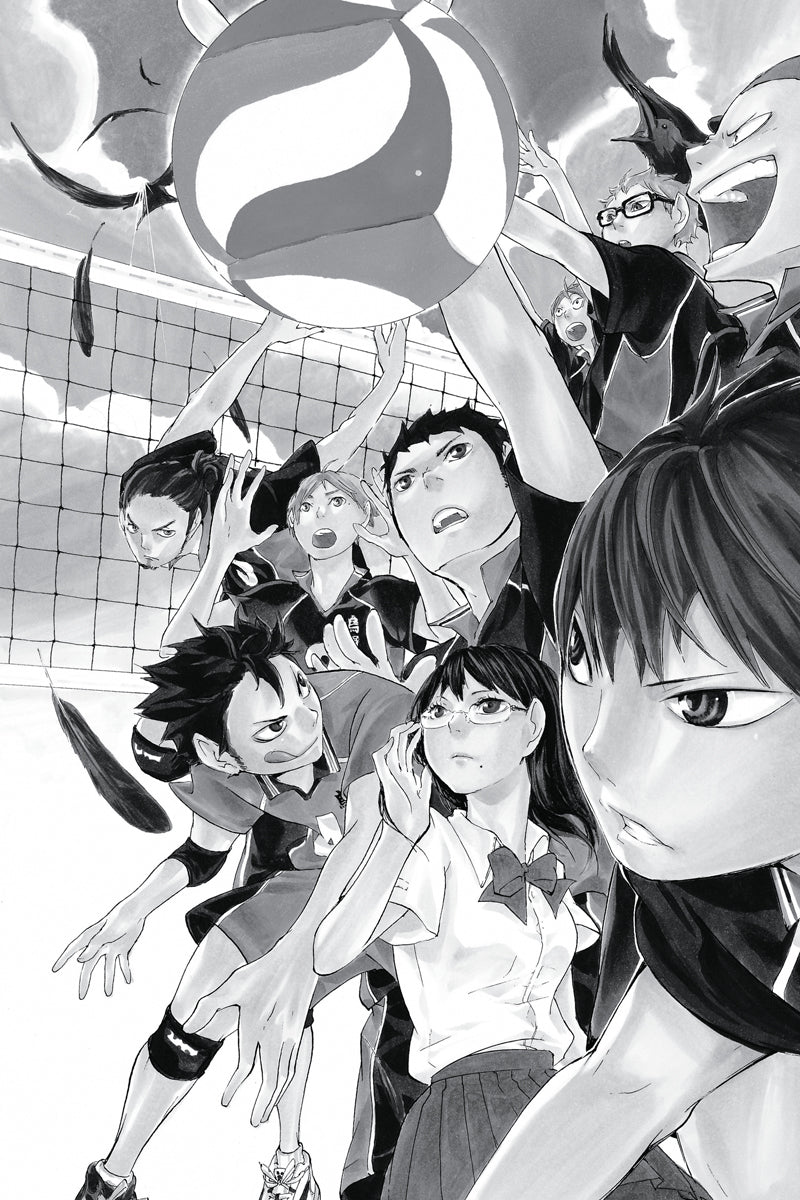 Haikyu!! Manga Volume 1 - Inspire Newquay