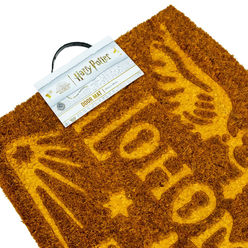 Harry Potter (Alohomora) 60 x 40cm Embossed Doormat - Inspire Newquay