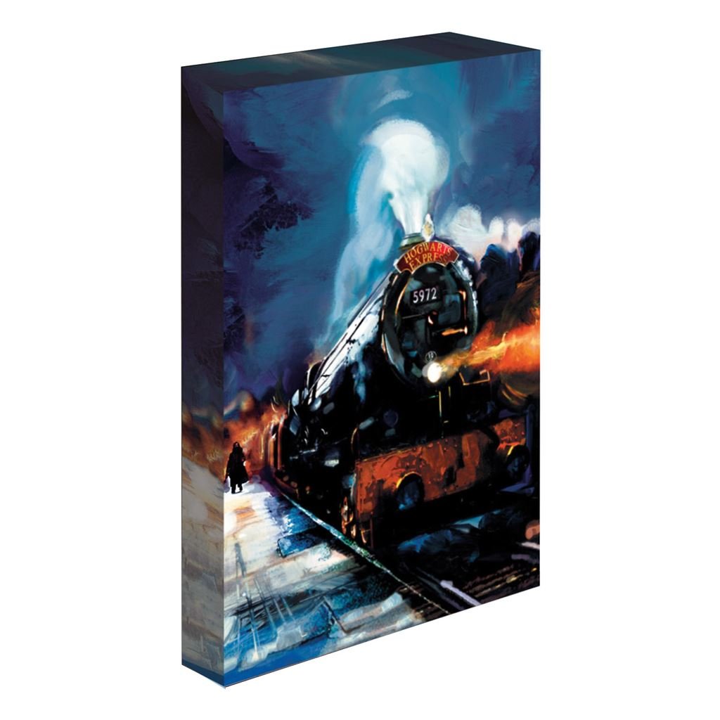 Harry Potter (Hogwarts Express) 30 x 40cm Light Up Canvas - Inspire Newquay