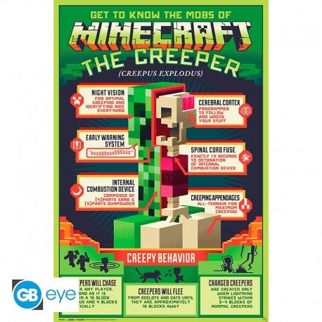 Minecraft Creepy Behaviour Poster - Inspire Newquay