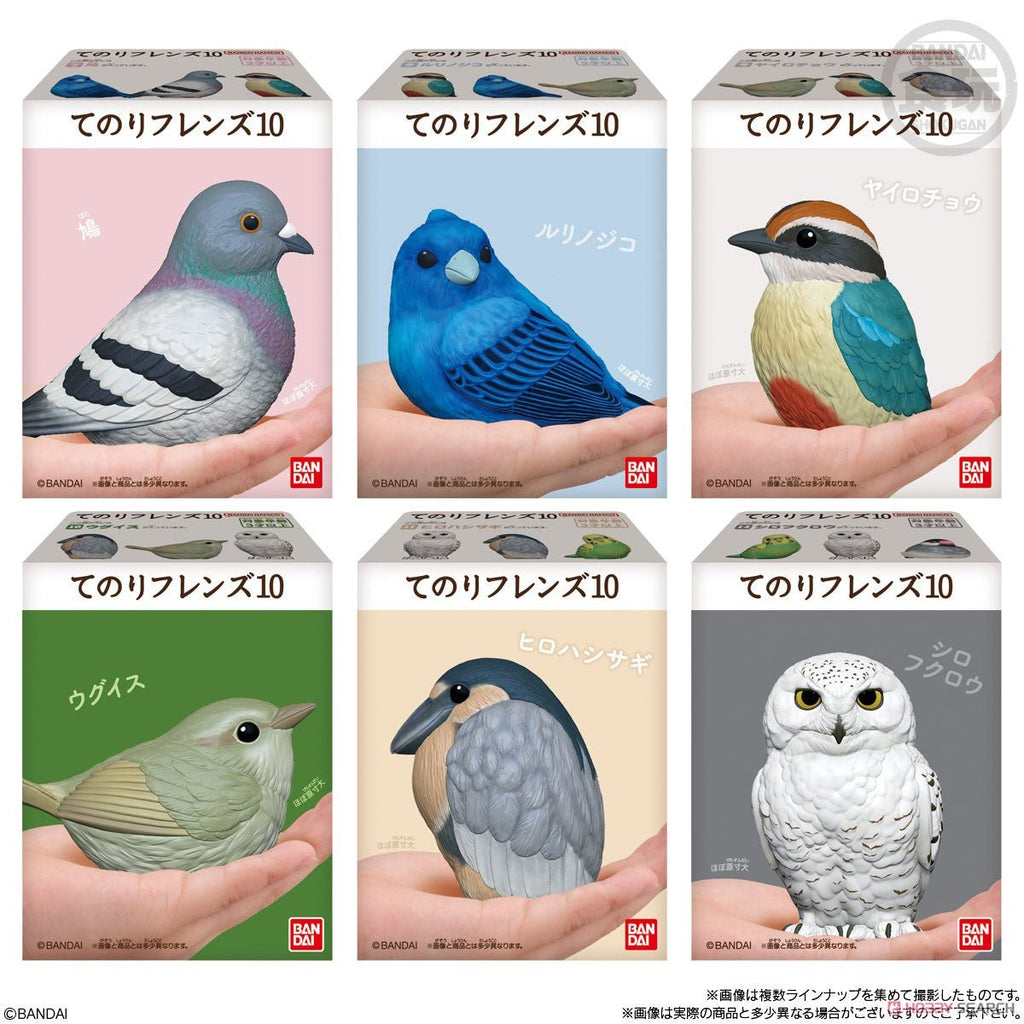 PRE-ORDER Tenori Animal Friends Vol.10 (Shipping in March 2024) - Inspire Newquay