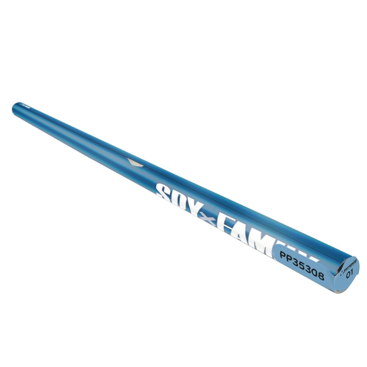 Spy X Family (Cool Vs Family) 61x91.5 cm Maxi Poster - Inspire Newquay