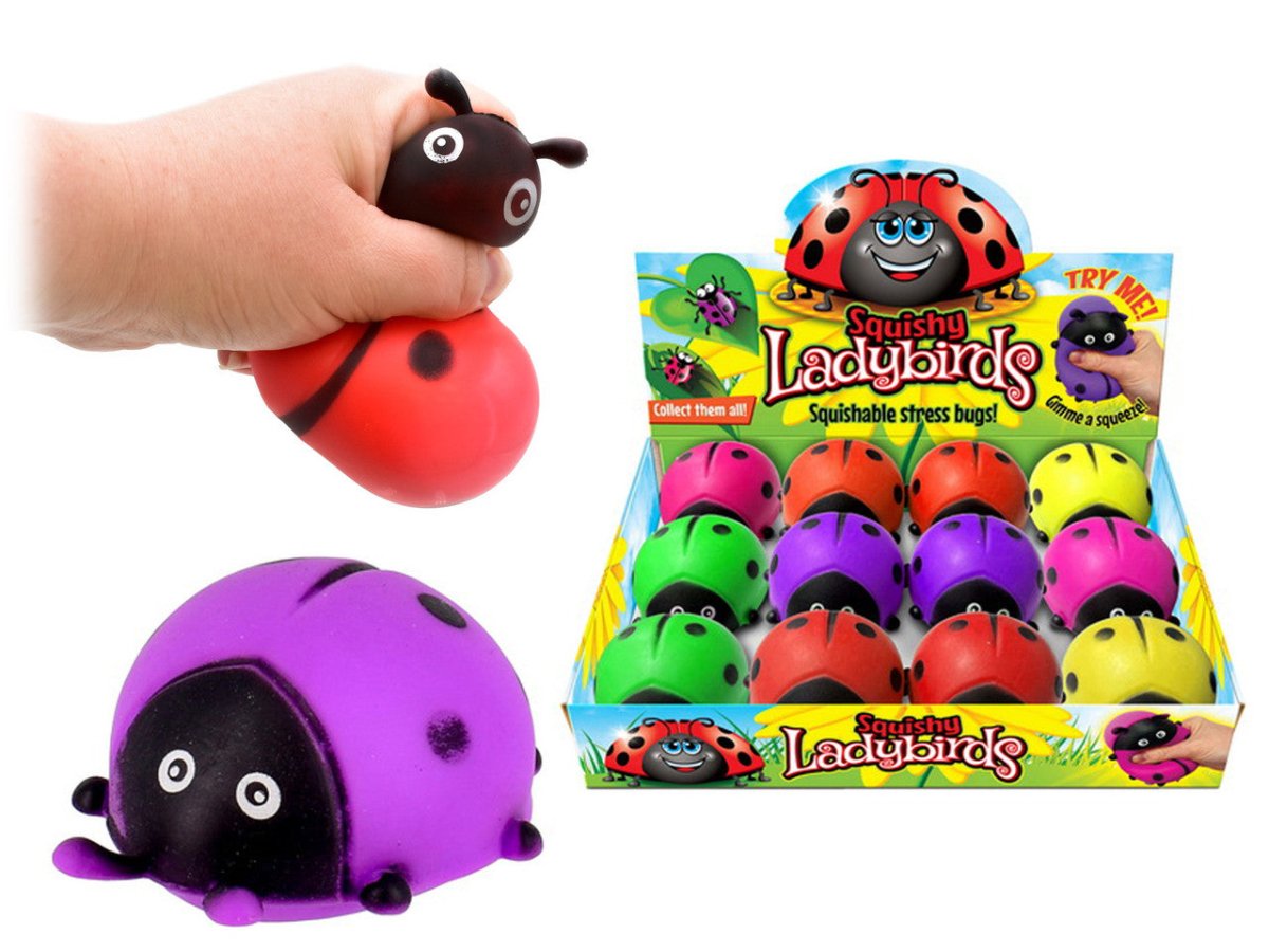 Squishy Ladybird - Inspire Newquay