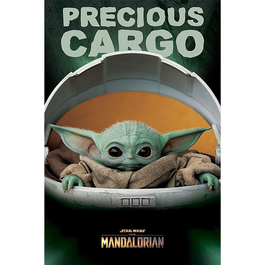 Star Wars The Mandalorian (Precious Cargo) 61 x 91.5cm Maxi Poster - Inspire Newquay