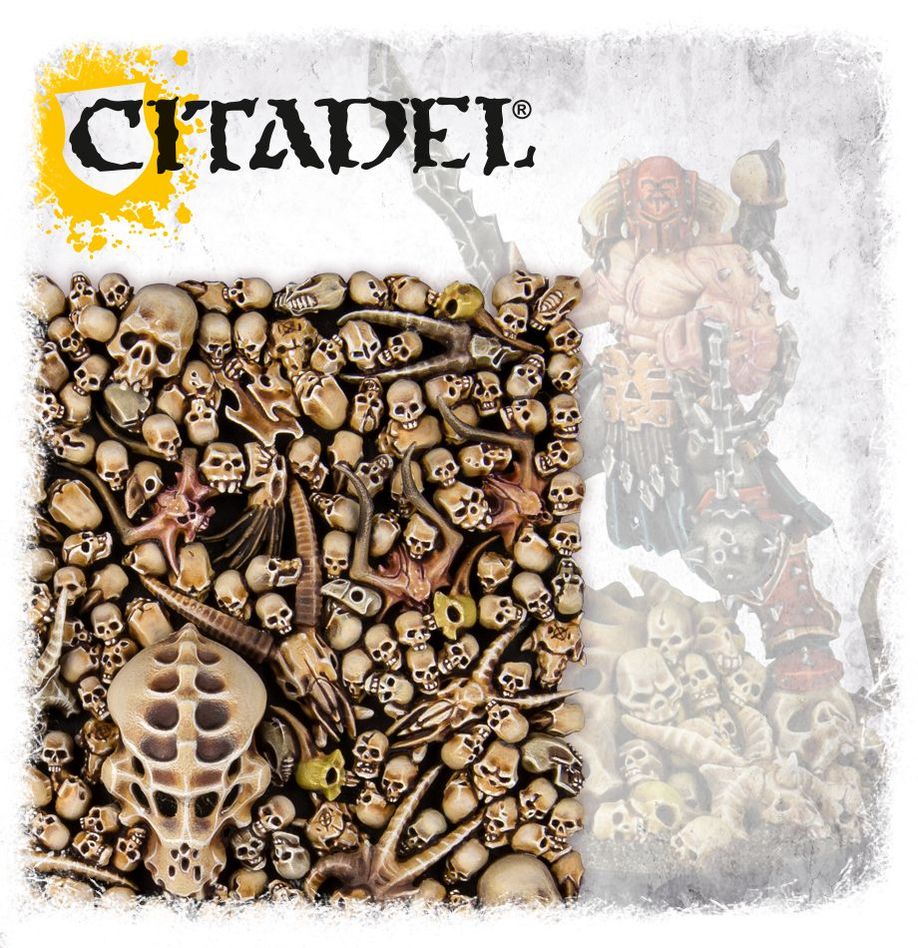 Warhammer 40k Age of Sigmar - Citadel skulls - Inspire Newquay