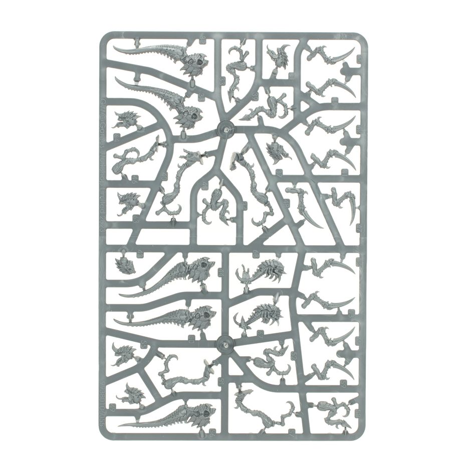 Warhammer 40k Tyranids - Hormagaunts - Inspire Newquay