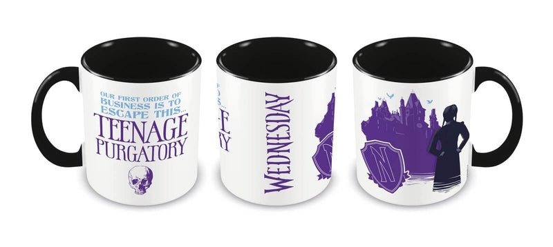 Wednesday: Mug: Teenage Purgatory - Inspire Newquay